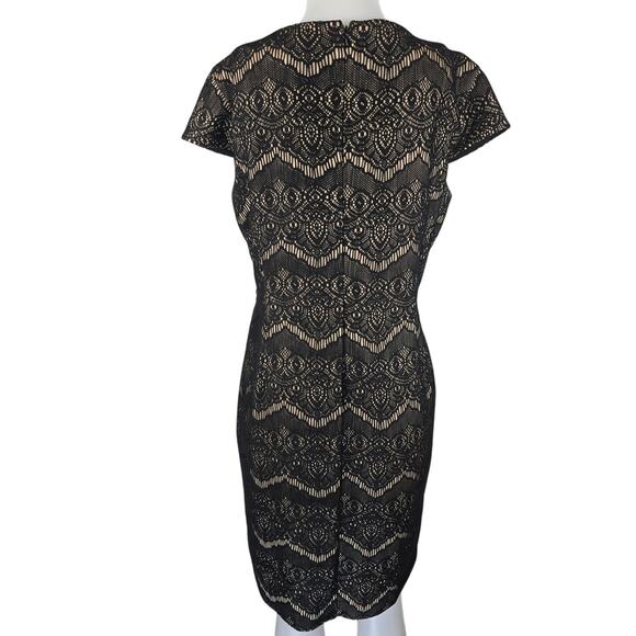 Liz Claiborne Black Tan Lace Overlay Business Work Dress Women's 16 - Picture 3 of 4